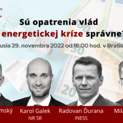 Sú opatrenia vlád v energetickej kríze správne?